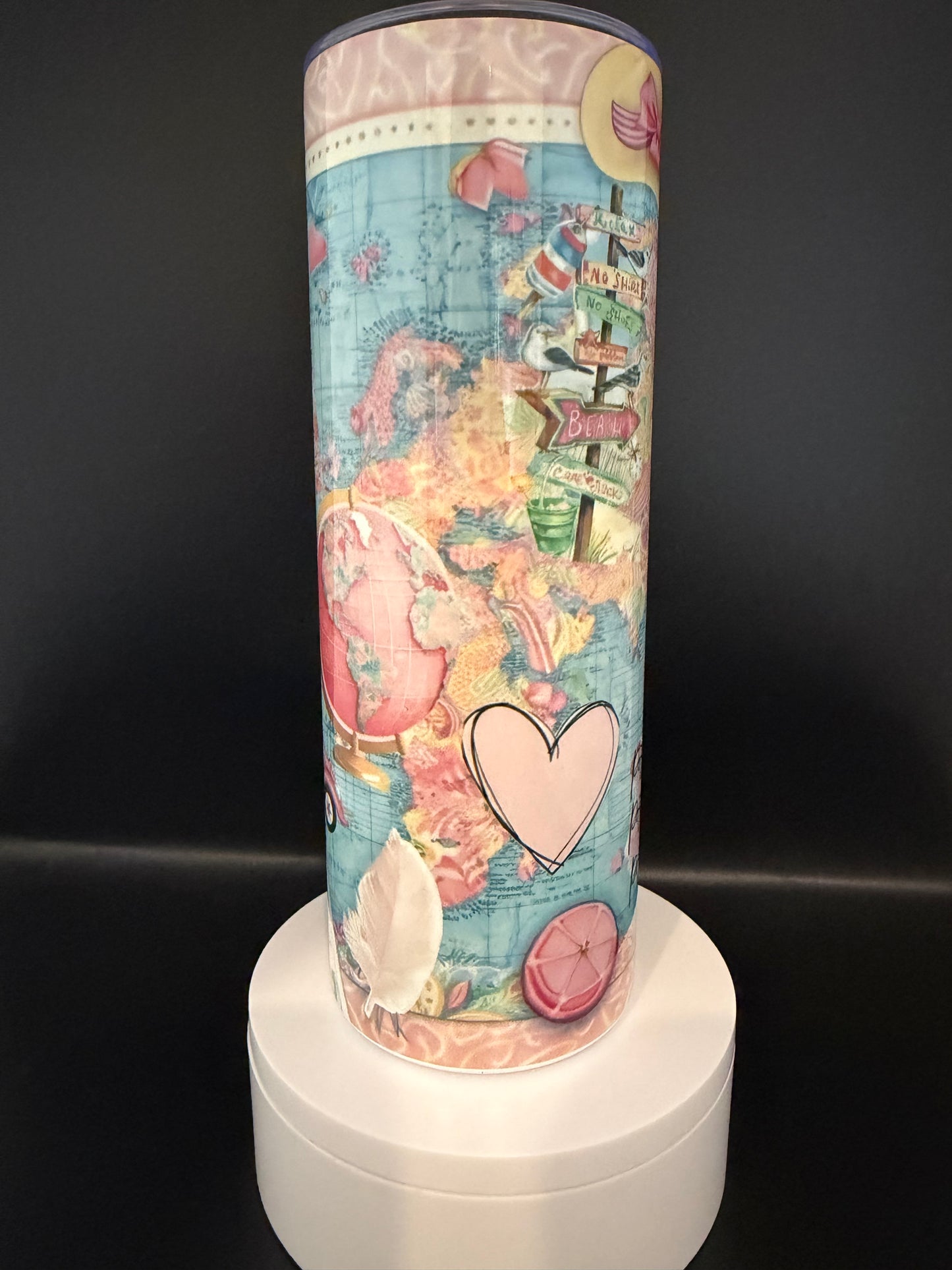 Travel the World Tumbler